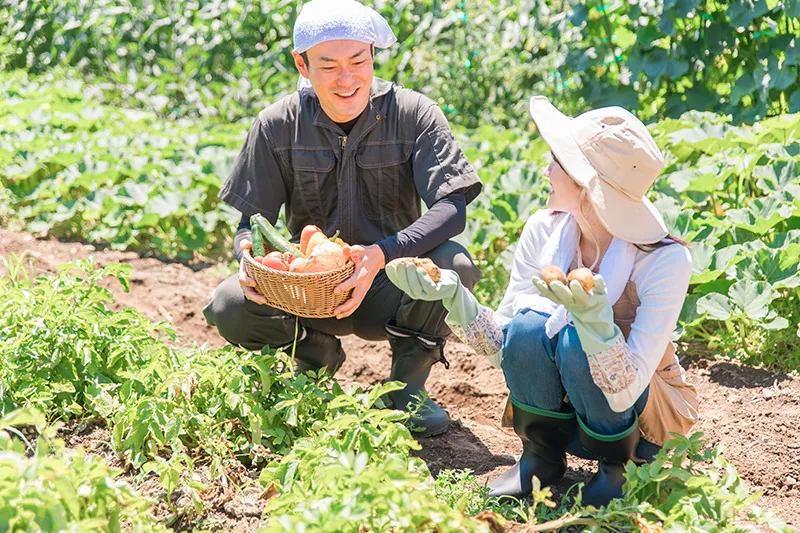 栽培で始めるエコファーマ基準の実践と実際のメリット徹底解説
