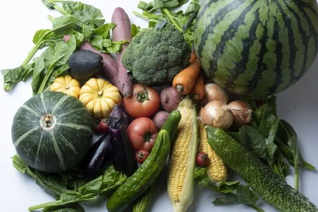 家庭菜園で夏野菜を育てる初心者向け手間いらずの簡単収穫ガイド