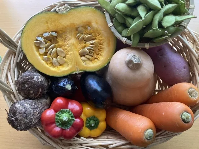 無農薬栽培の野菜を使った旬のレシピと家庭で楽しむコツ