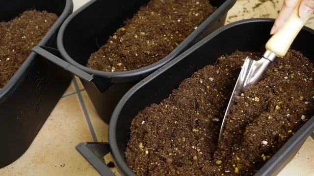 有機培養土で家庭菜園の野菜作りを安全に楽しむコツと失敗しない使い方