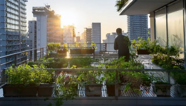 バイオ炭によるカーボン農業の魅力と持続可能な収益向上戦略