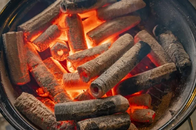 バイオ炭で実現する次世代のCO2削減戦略