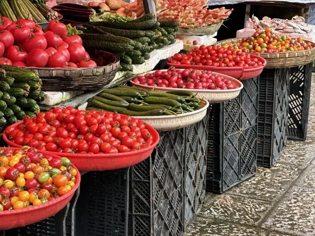 未来を切り開くオーガニックマーケットの可能性とは？