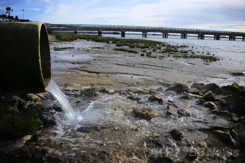 土壌汚染から守る！私たちの未来を支える土の役割と対策