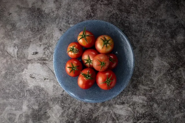 トマト栽培の基礎から収穫まで初心者が失敗しないコツを徹底解説