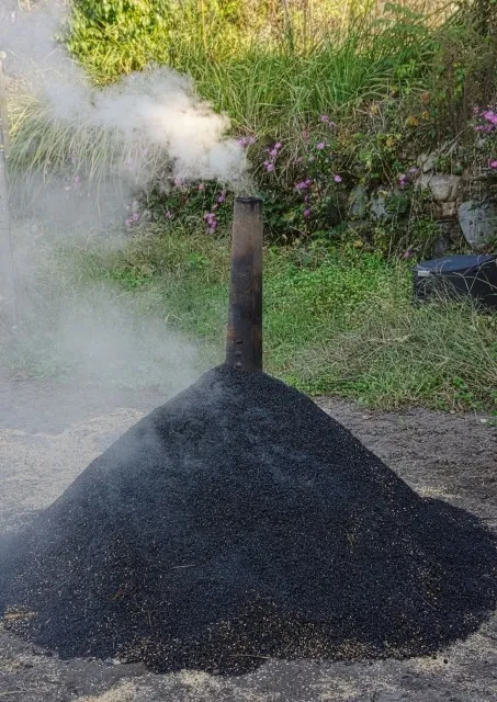 融雪剤とくん炭の併用で土壌改良と早期融雪を実現する方法