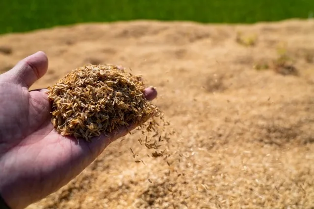 籾殻の魔法：農業革命を支えるエコな使い方