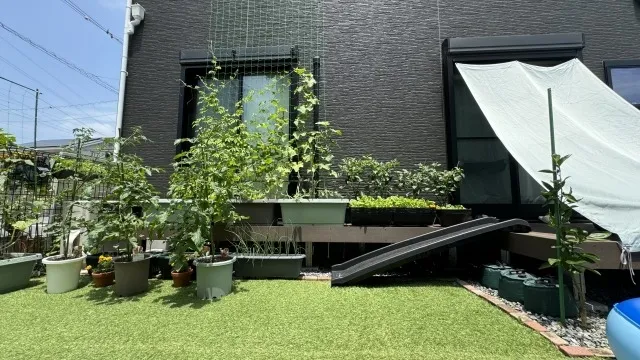 土壌改良剤で変わる！あなたの畑を生き返らせる方法