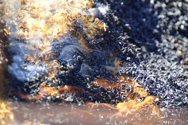 融雪剤の本当の力：その効果と環境への影響