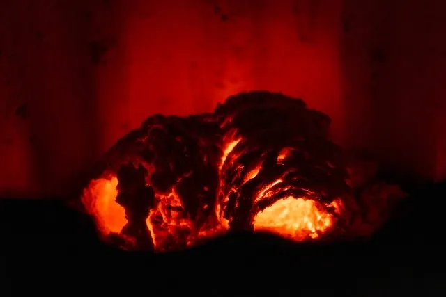 くん炭活性炭で快適ガーデニング！プロが選ぶ理由とは？