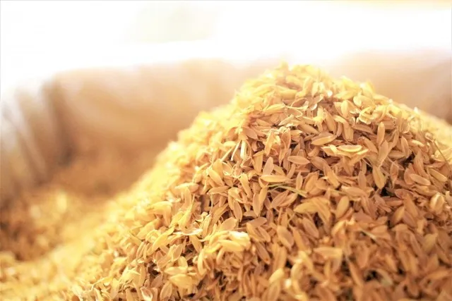 籾殻を活用した堆肥の作り方と家庭菜園での活用術と注意点