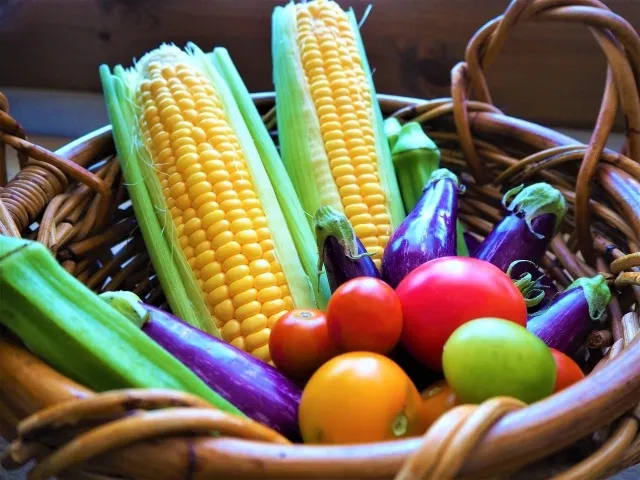 夏の家庭菜園で楽しむ！簡単で美味しい夏野菜の育て方ガイド