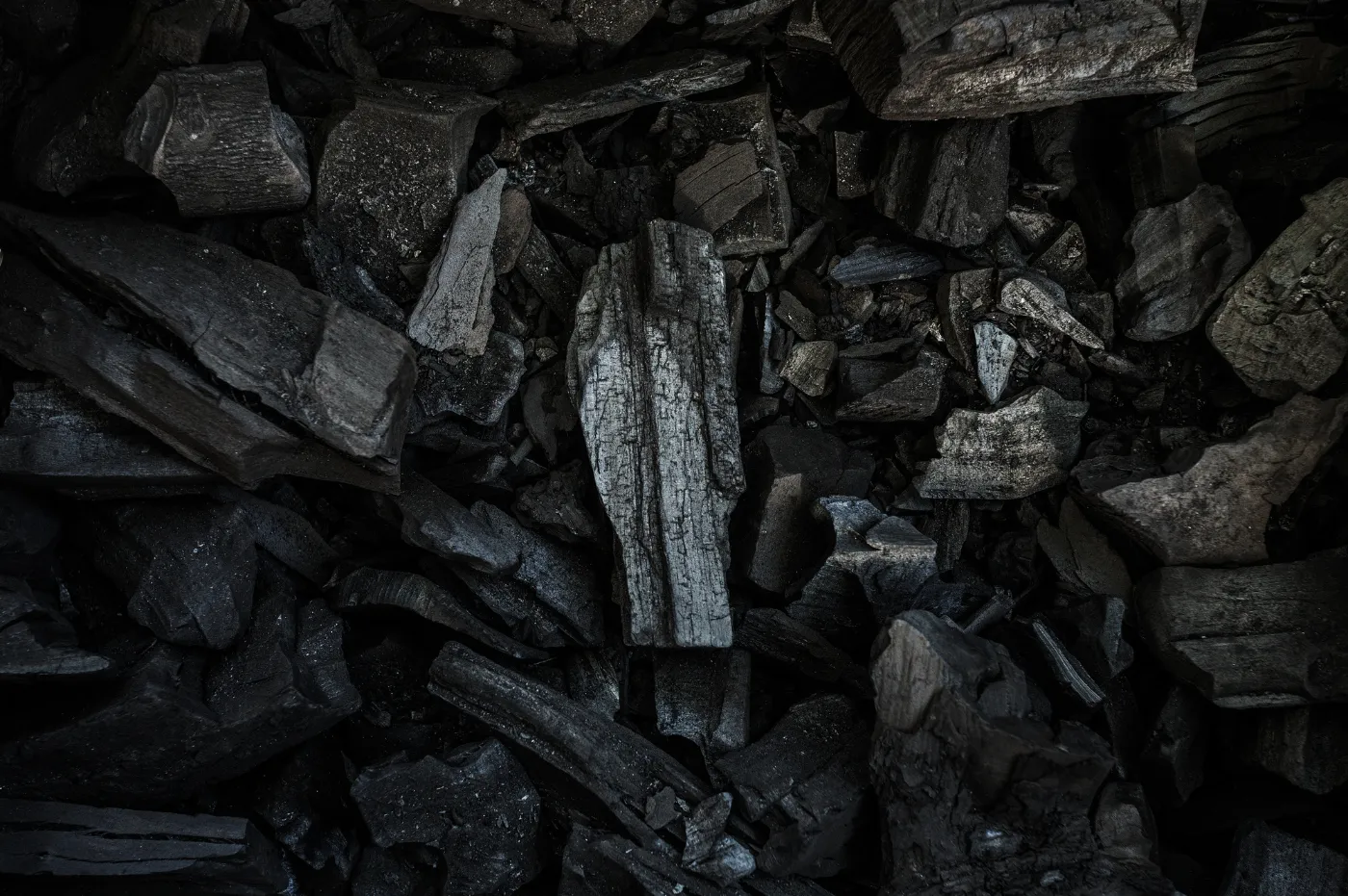 バイオ炭で実現する環境保全と持続可能な農業の最前線