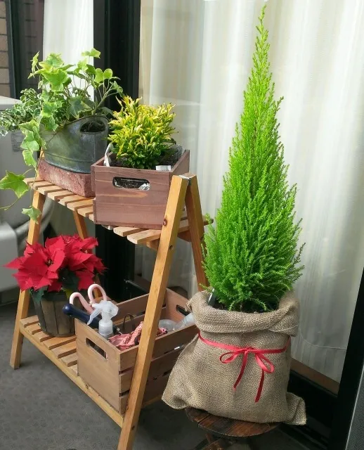 ベランダ菜園を楽しむコツとおすすめの種類を徹底解説