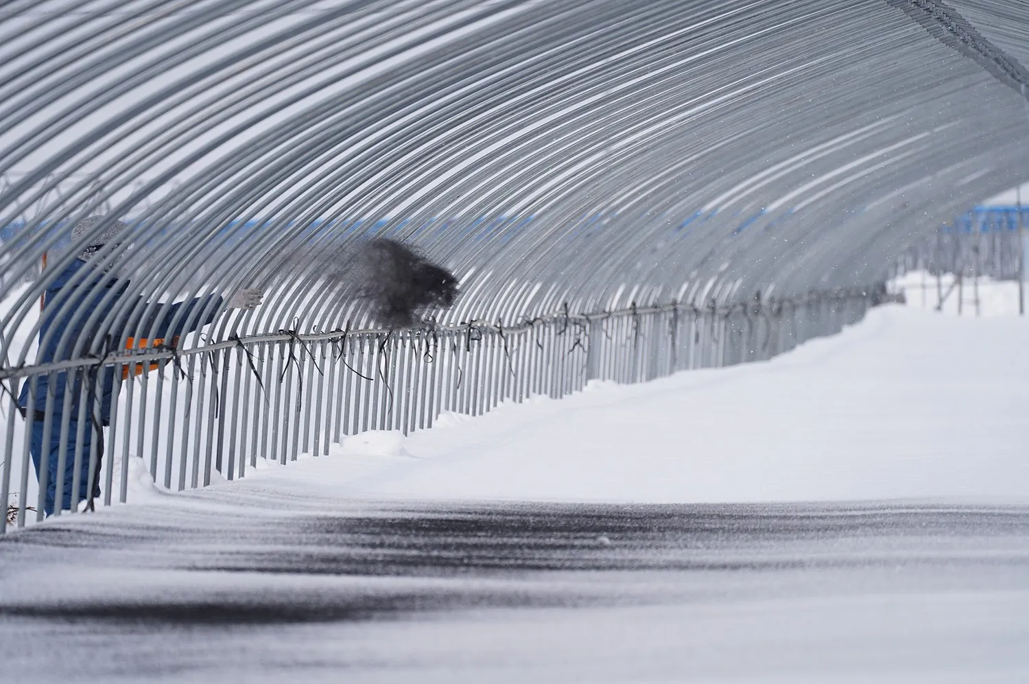 融雪剤メーカーの選び方：環境に優しい製品を選ぶポイント