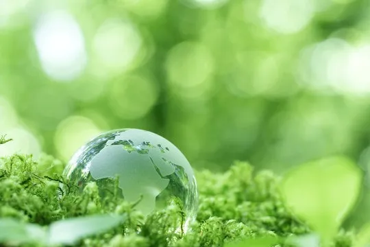 持続可能な未来へ：環境に優しい選択がもたらす変化