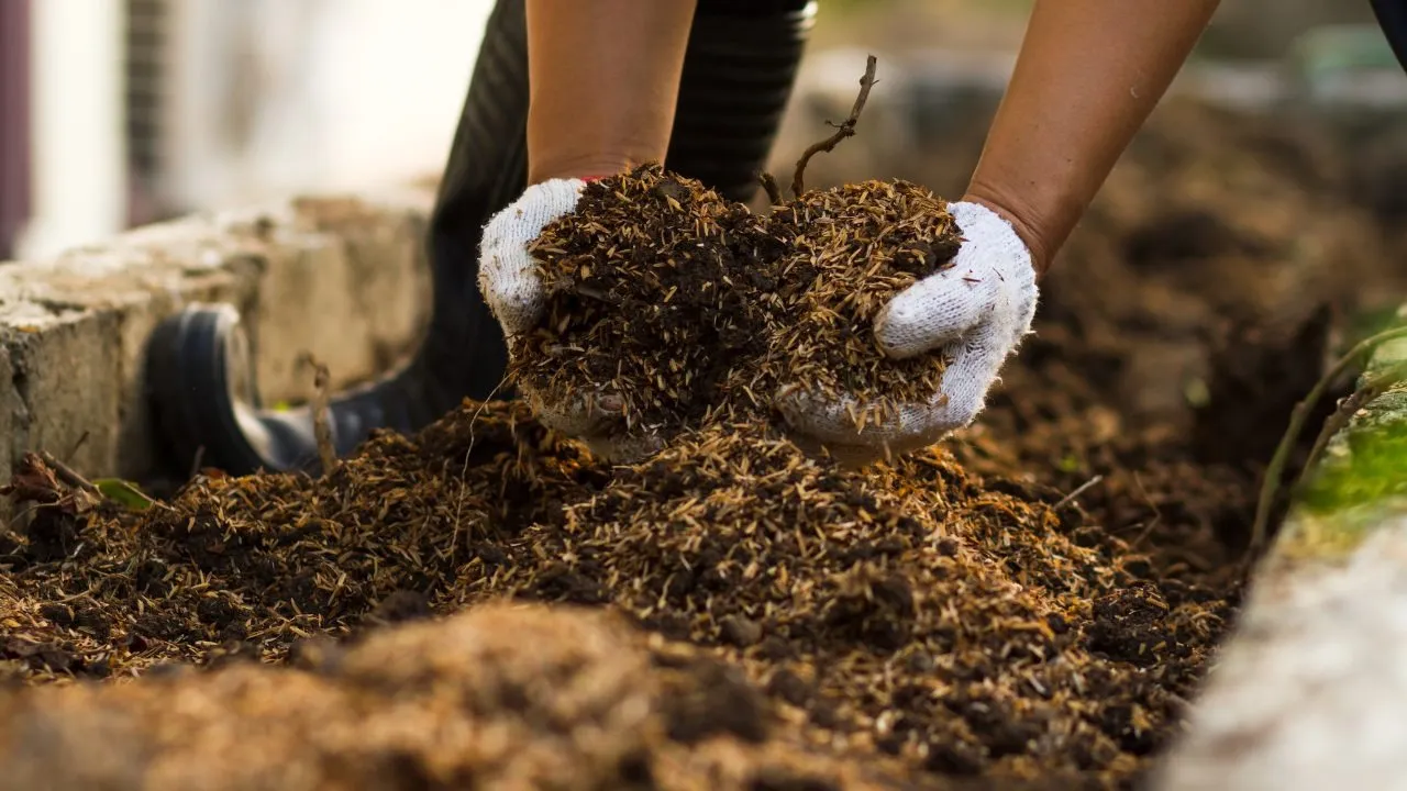 土壌改良剤の口コミ徹底調査！実際の効果と使用者の声