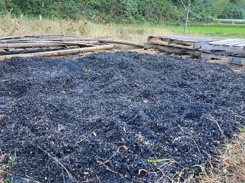 バイオ炭の力で土壌を活性化！家庭菜園をもっと楽しくする方法