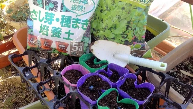 温度管理で成功する！家庭菜園の栽培テクニック