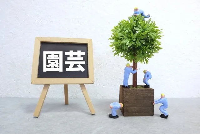 有機培養土の真実：実際に使った人たちの口コミから学ぶ