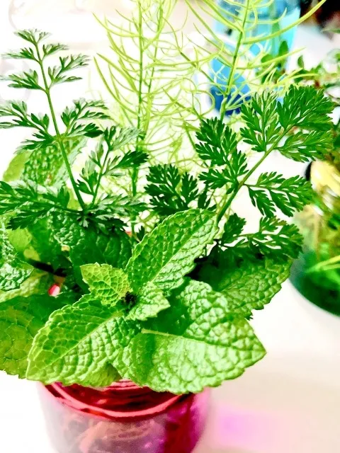 無農薬栽培で豊かな生活を！自然と共に育む新しい農業の形