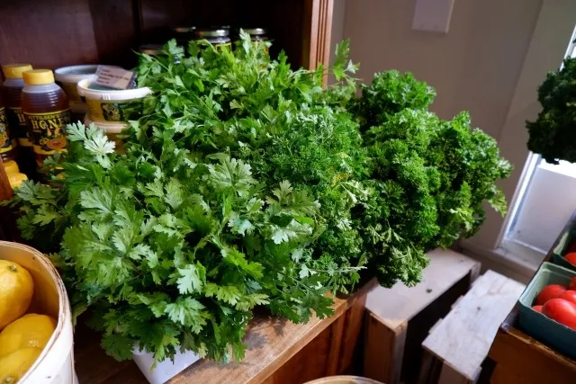 有機栽培で未来を育む！環境に優しい農業の新常識