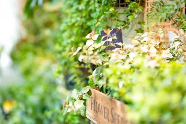 未来を築くための持続可能な社会へのステップ