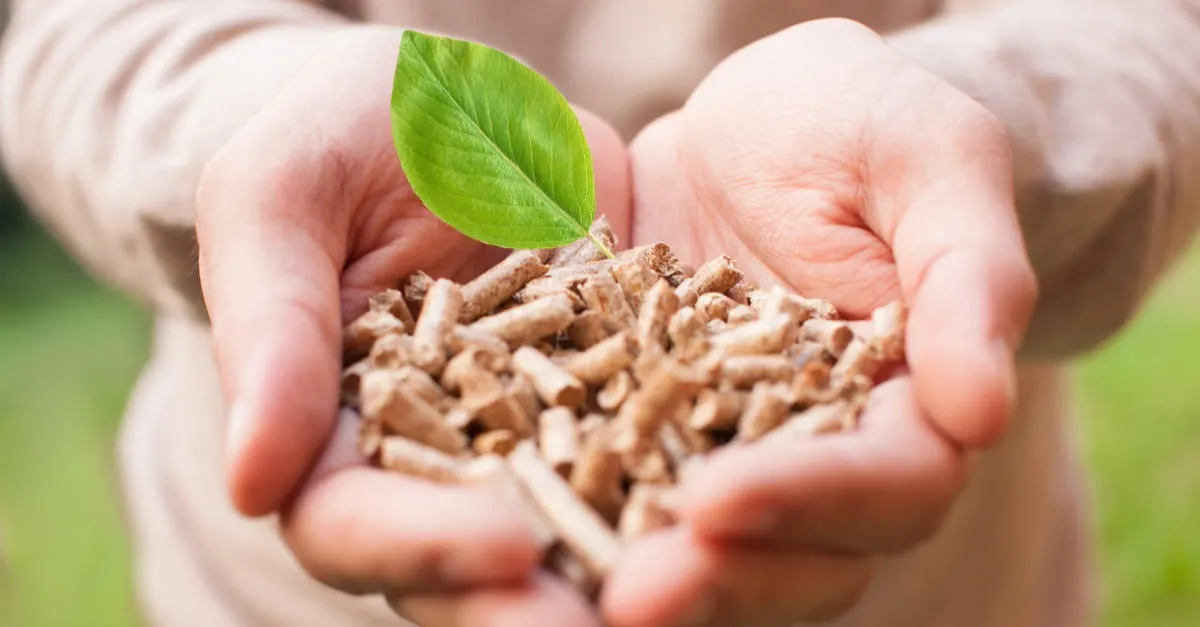 持続可能な未来を築くための再生可能エネルギーの可能性