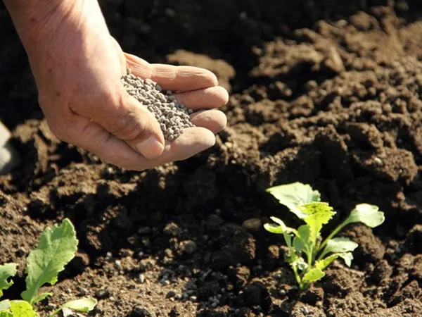 有機肥料とは何か 最新の農業革命に迫る