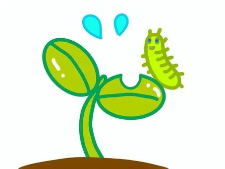 無農薬栽培で実現する健康的な生活の魅力