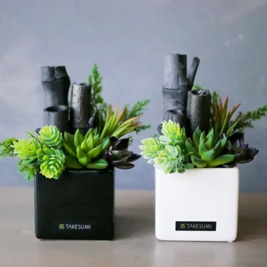 竹炭の驚くべき効能！健康と環境に優しい秘密とは？