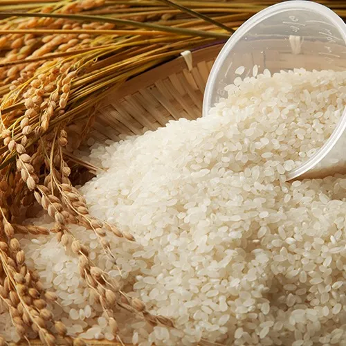 オーガニック米の魅力と選び方を徹底解説