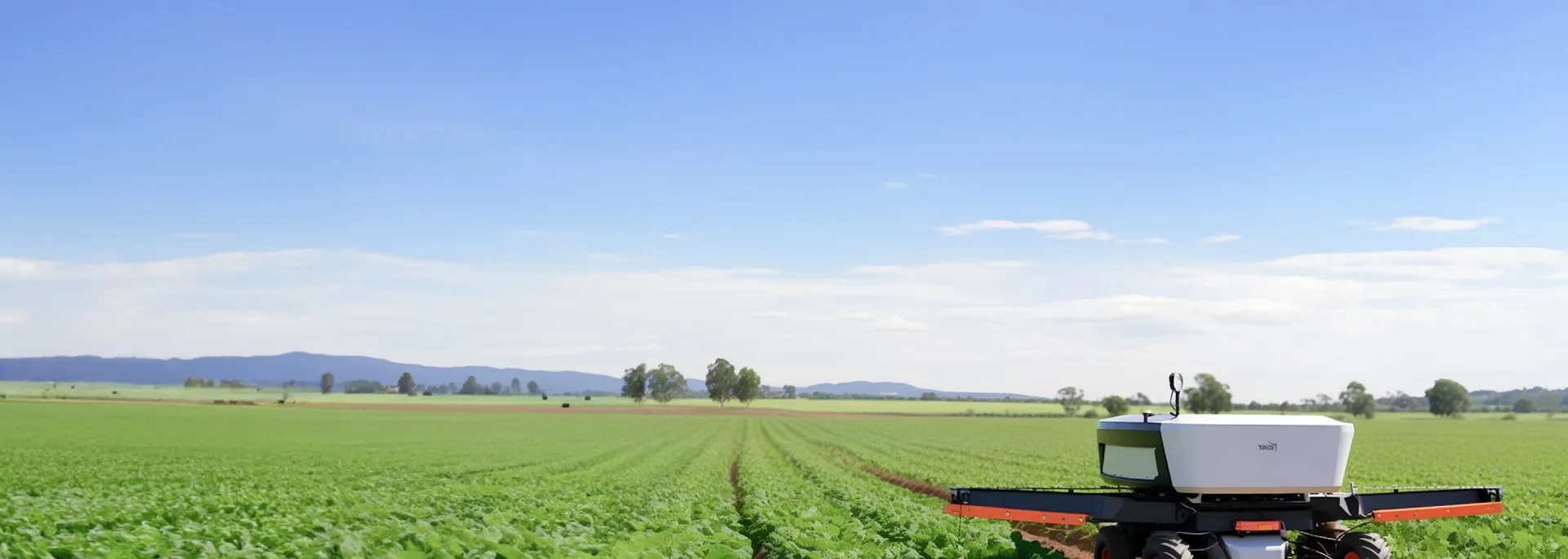 栽培現場で実践したい高温障害対策と収量・品質を守る最新管理法