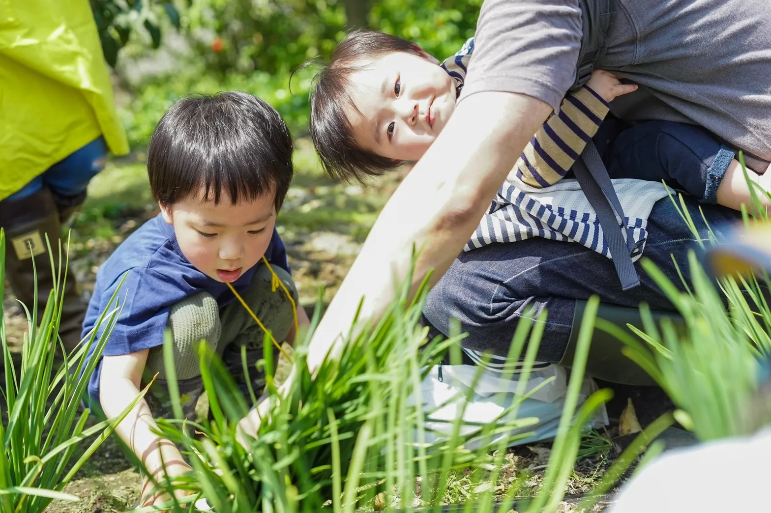 家庭菜園で親子の絆を深める初心者向け野菜選びと育て方ガイド