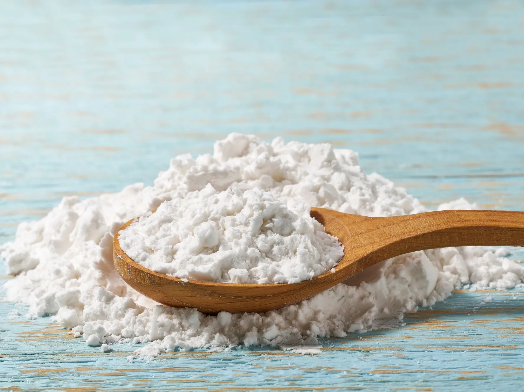 土壌微生物が澱粉を分解する仕組みと健康な土づくりへの実践活用法