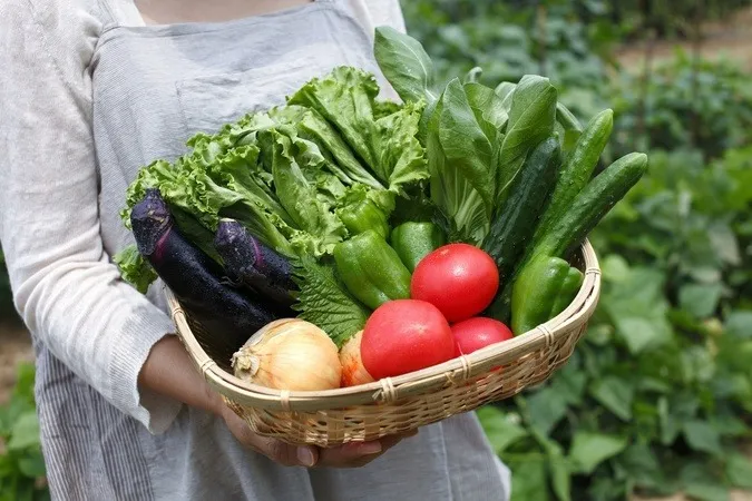 栽培で知る千葉県のエコファーマ認定制度と今後の環境型農業の実践ポイント