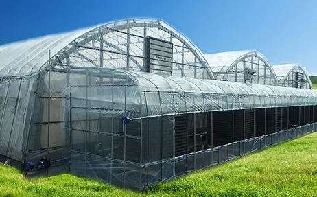 栽培の効率化を目指すビニールハウス地下水エアコン活用術