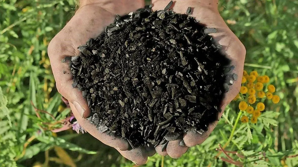 バイオ炭を活用したカーボンネガティブ資材の実力と最新技術動向を徹底解説