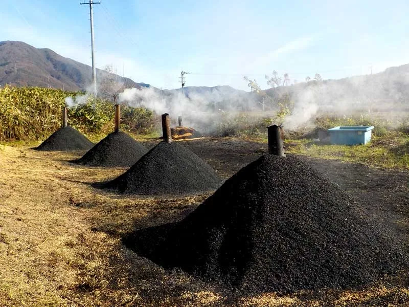 くん炭を活用したエコファーマー流土壌改良と持続可能な農業の始め方