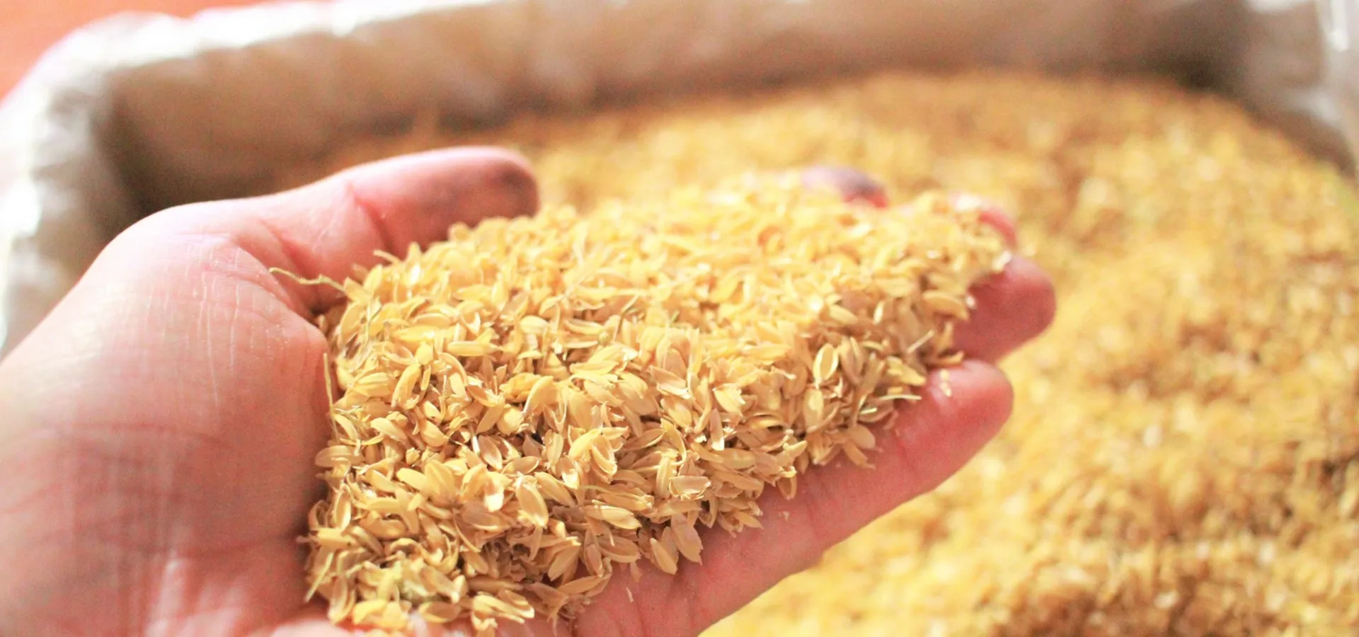 もみ殻有効利用の実践法と家庭や畑での活用アイデアを徹底解説