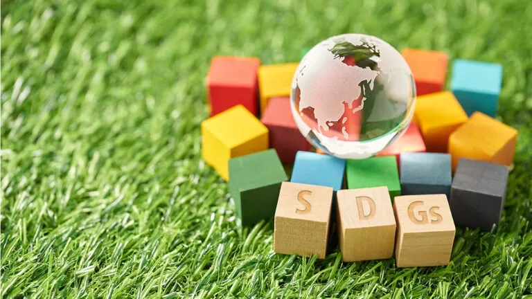 SDGsと環境の目標を理解し行動につなげる具体例と最新の取り組み解説