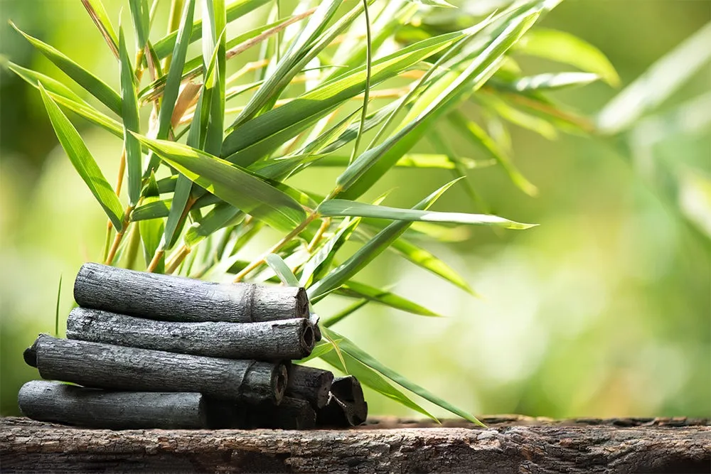 竹炭を使った健康法の効果と安全な取り入れ方徹底ガイド