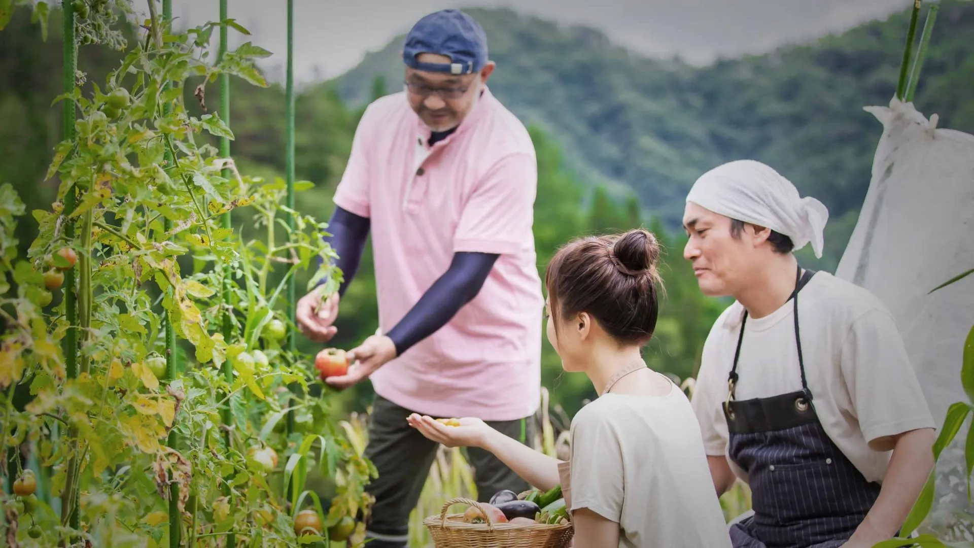 くん炭を活用したエコファーマ制度の仕組みと補助金活用のポイント