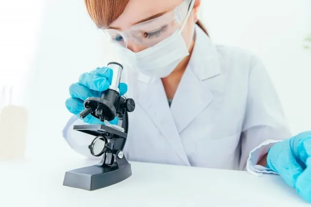 土壌微生物と設計型微生物で持続可能な農業を実現する最新技術と活用法