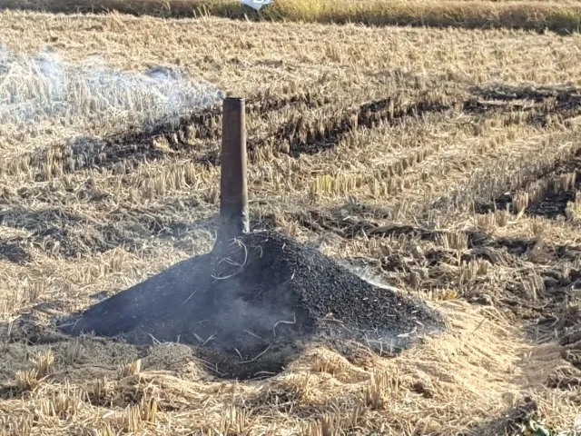 くん炭の静菌作用と有用菌増加のメカニズムと施用時の注意点を徹底解説