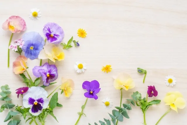 けい酸の役割を水稲栽培の収量と倒伏防止に活かす実践ガイド