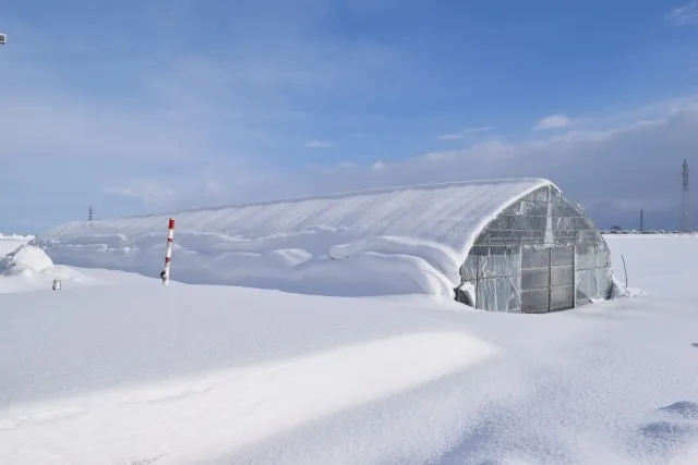 くん炭の融雪剤活用と土壌改良効果を徹底解説