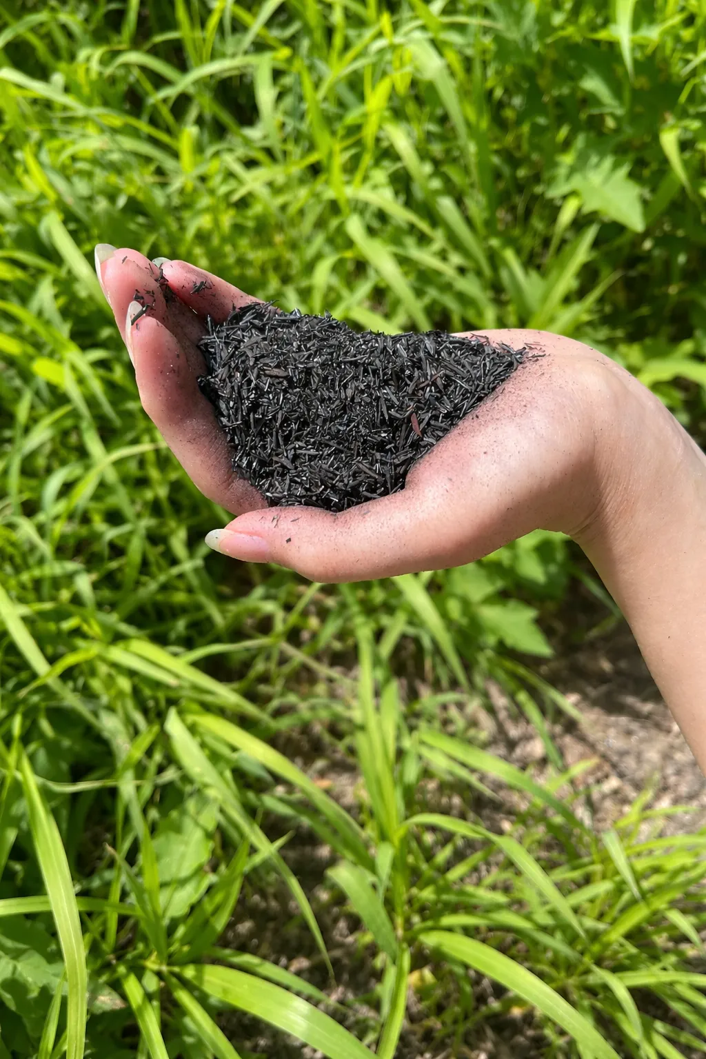 くん炭の燃やし方と畑活用法を徹底解説安全な手順と効果的な使い方ガイド