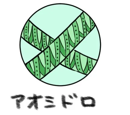 土壌微生物の力でアオミドロ対策を徹底解説現場で使える発生抑制と再発防止の実践法