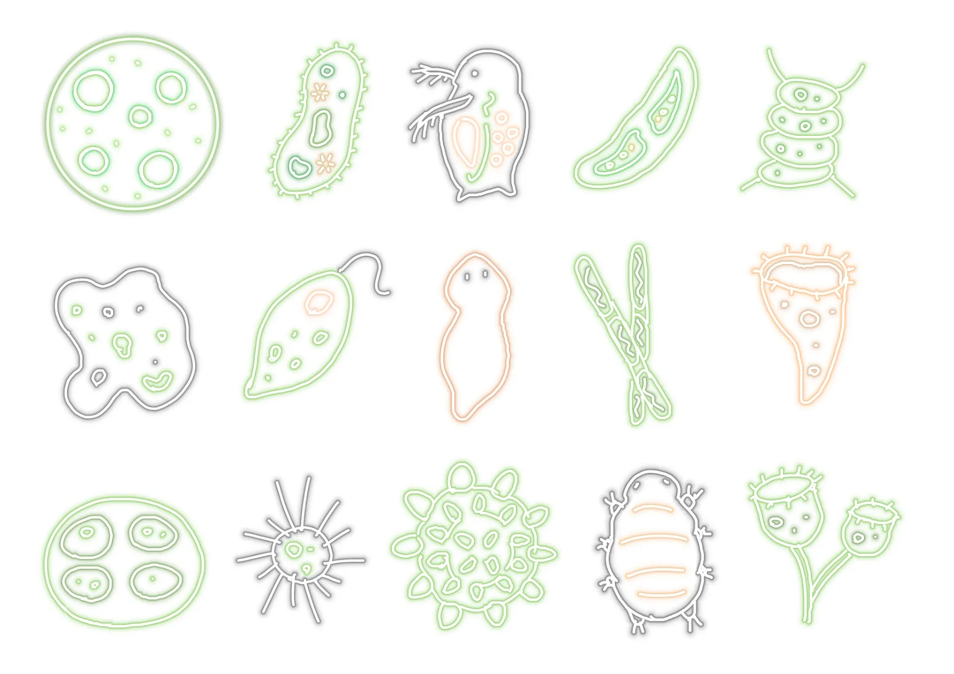 土壌微生物研究の最前線と未解明機能の産業応用に向けた取り組み